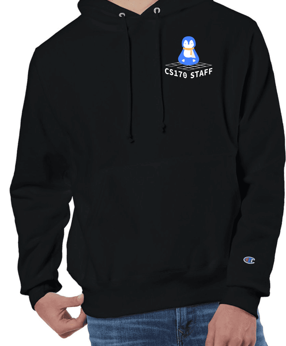 CS170 Hoodies - Image 3