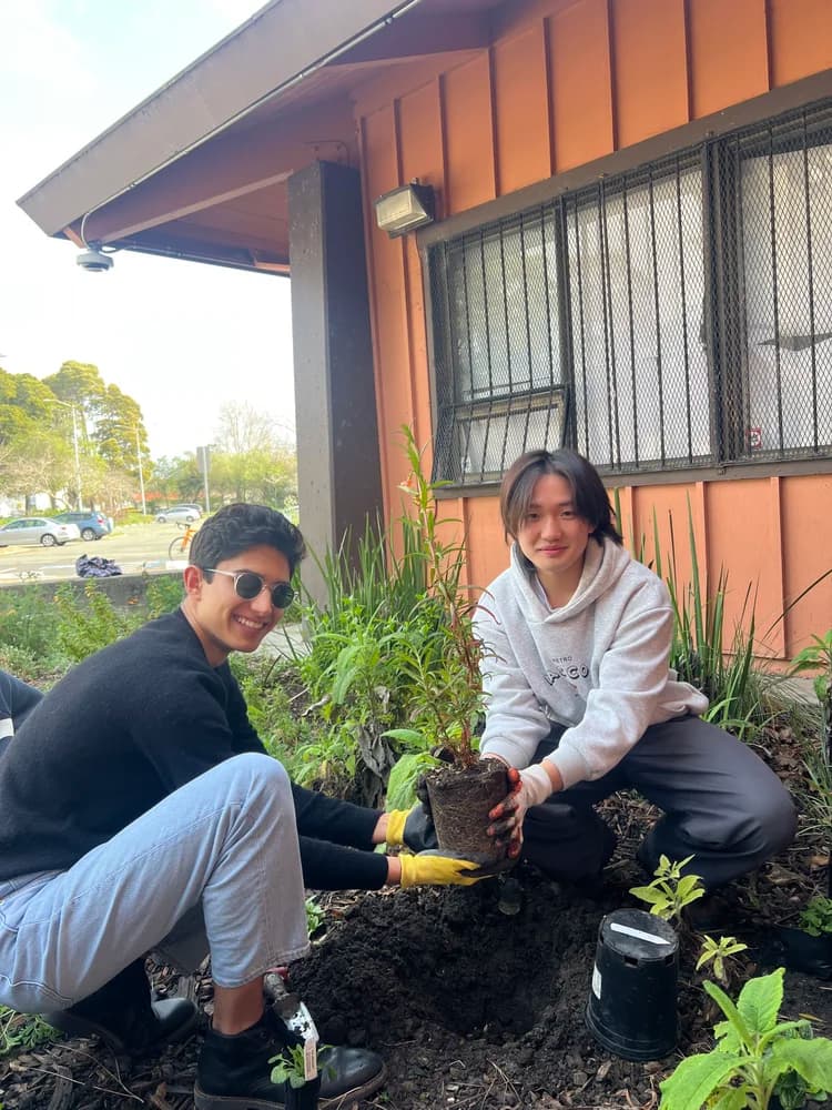 Two people planting a tree in a garden