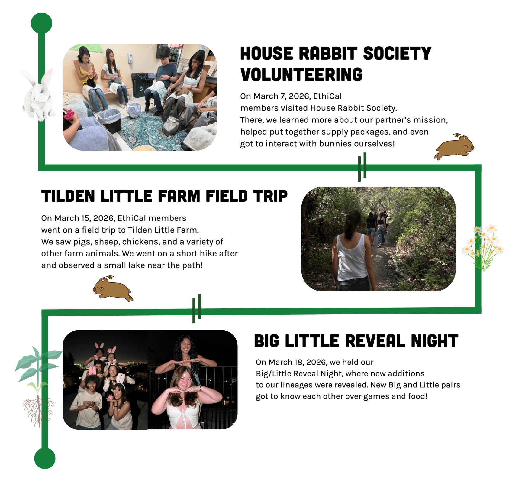 Timeline