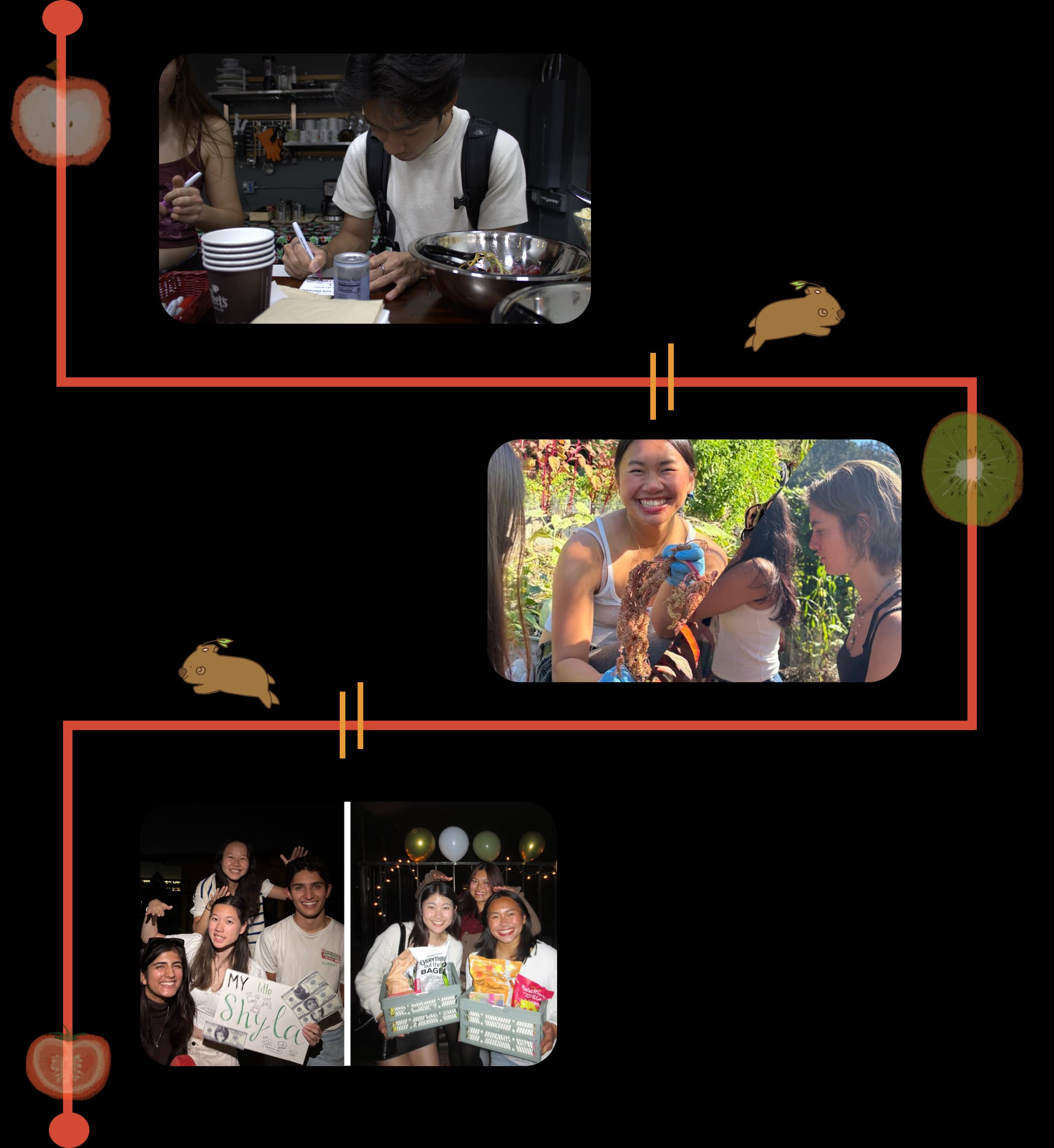 Timeline